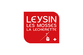Logo Leyssin